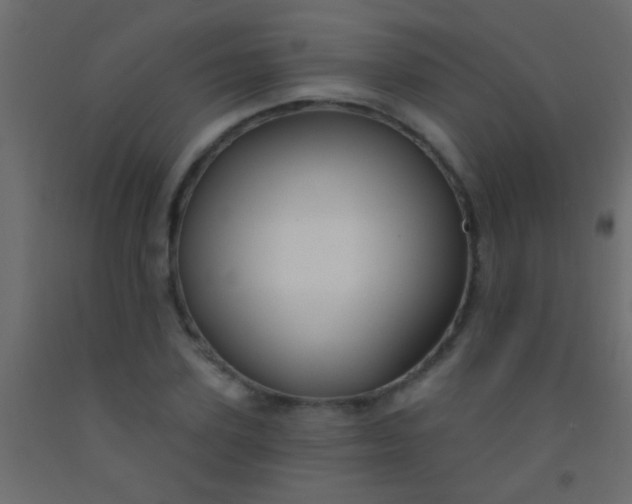 X0000093090931200710101514