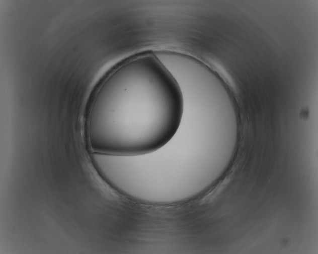 X0000093090932200710101514