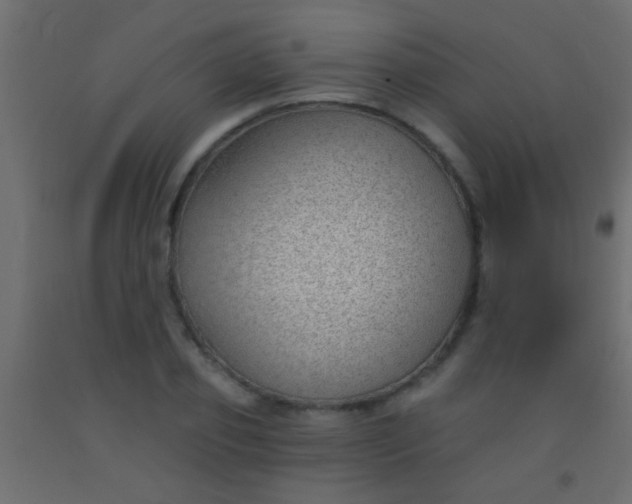 X0000093090933200710101514