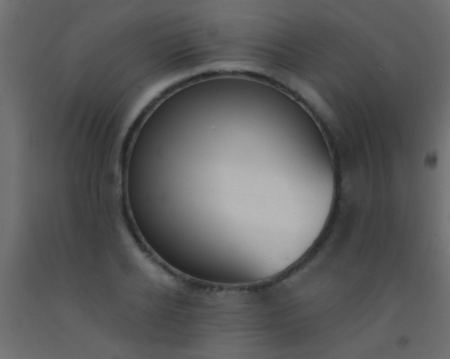 X0000093090934200710101514