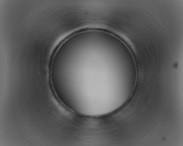 X0000093090935200710101514