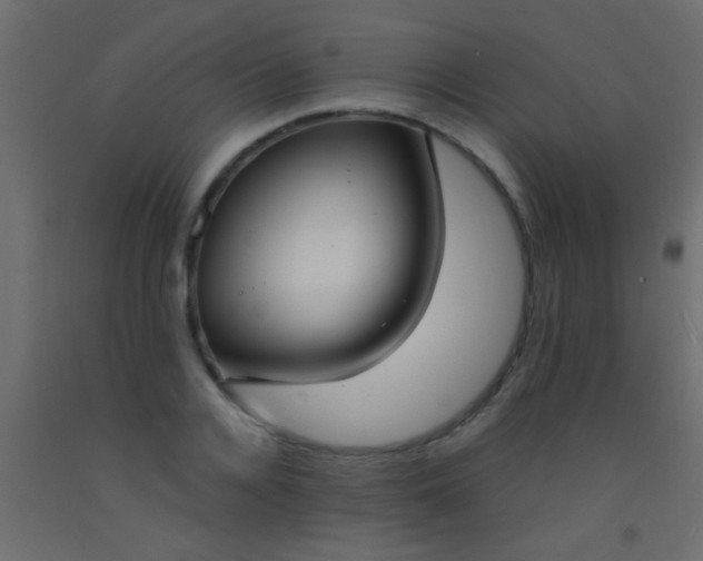 X0000093090936200710101514