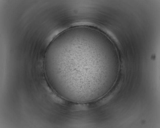 X0000093090937200710101514