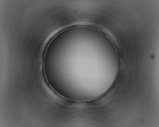 X0000093090939200710101514