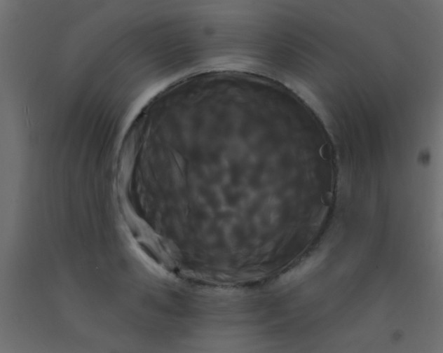 X0000093090941200710101514