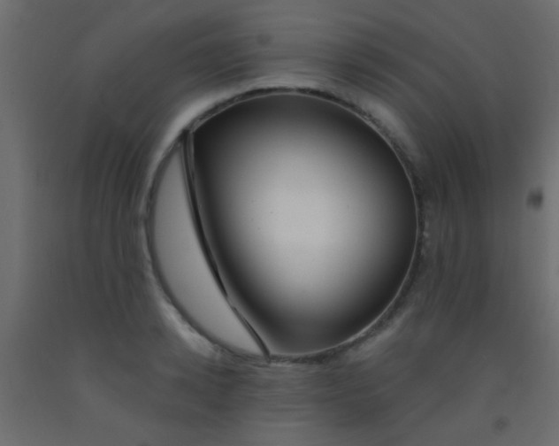 X0000093090942200710101514