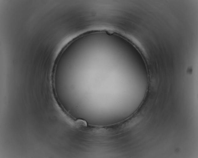 X0000093090943200710101514