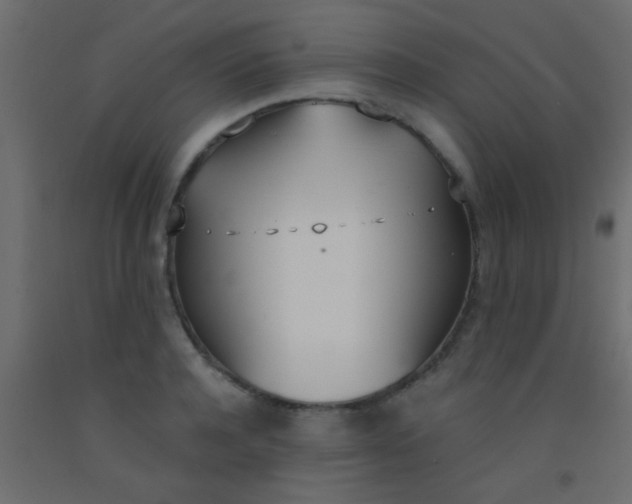 X0000093090944200710101514