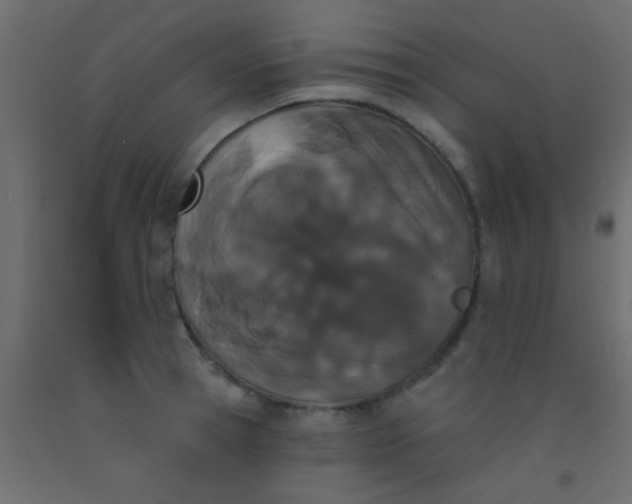 X0000093090945200710101514