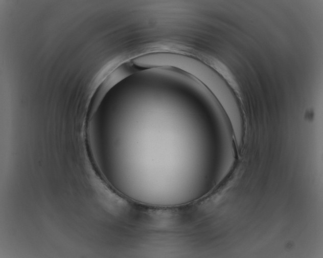 X0000093090946200710101514