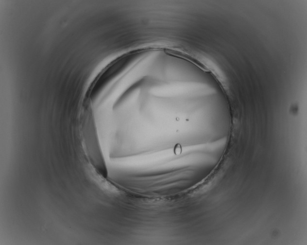 X0000093090948200710101514