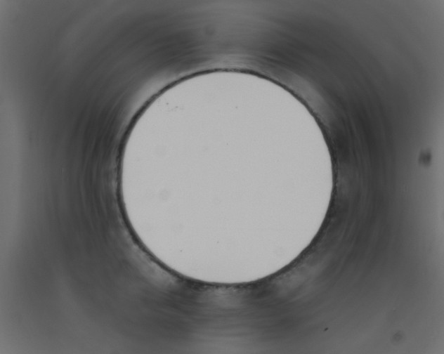 X0000093090950200710101514