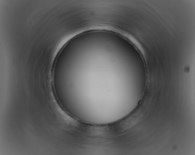 X0000093090951200710101514