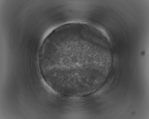 X0000093090952200710101514