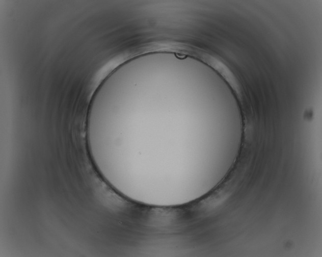 X0000093090954200710101514