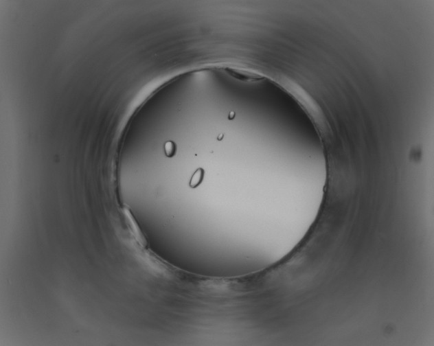 X0000093090956200710101514