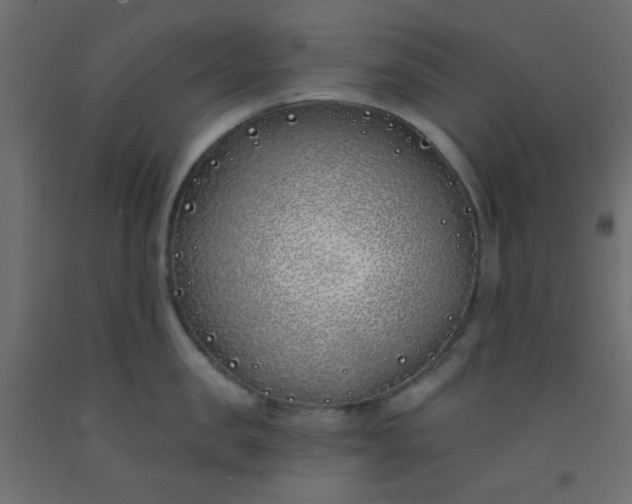 X0000093090957200710101514