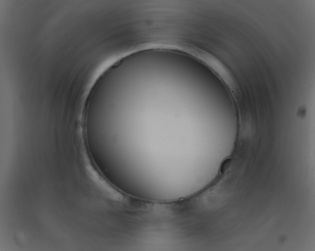 X0000093090958200710101514