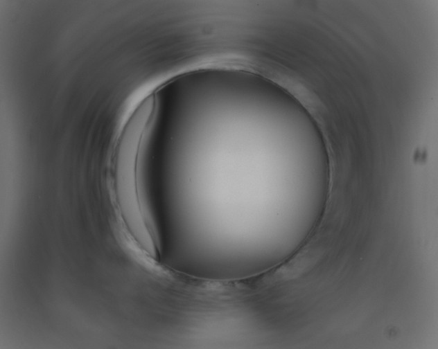 X0000093090960200710101515