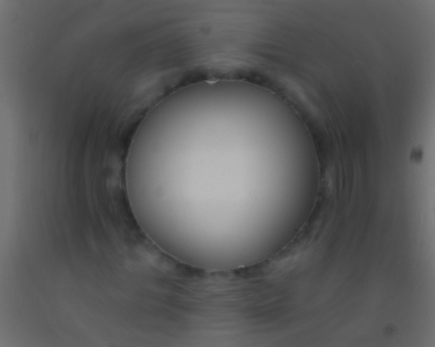 X0000093090964200710101514