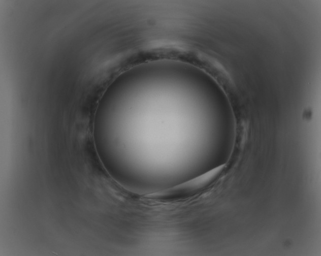 X0000093090965200710101514