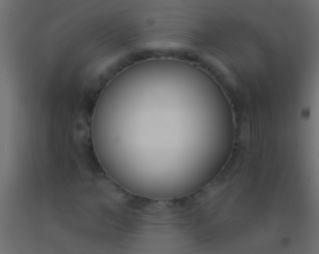 X0000093090966200710101514