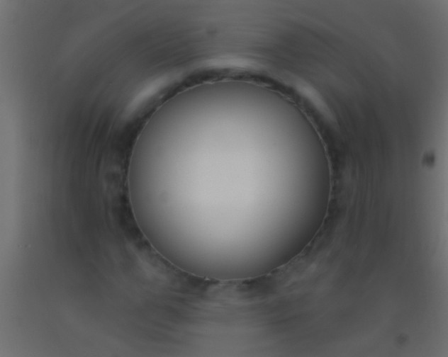 X0000093090967200710101514