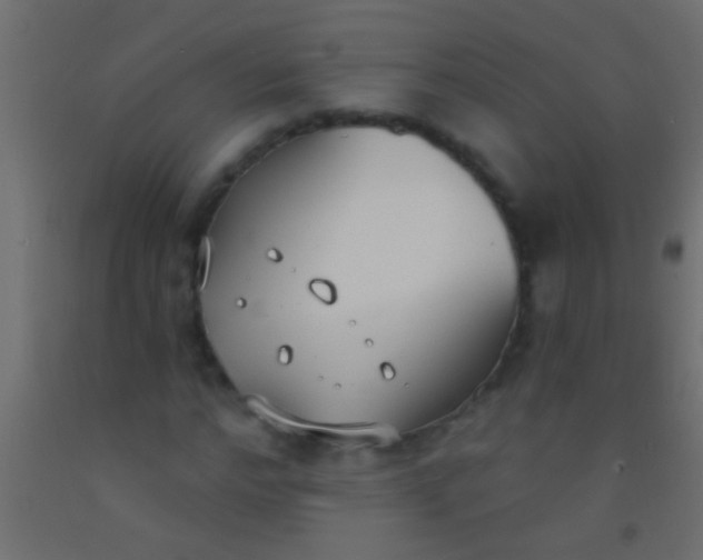 X0000093090968200710101514