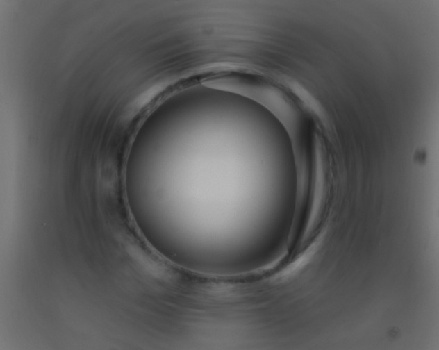 X0000093090969200710101514