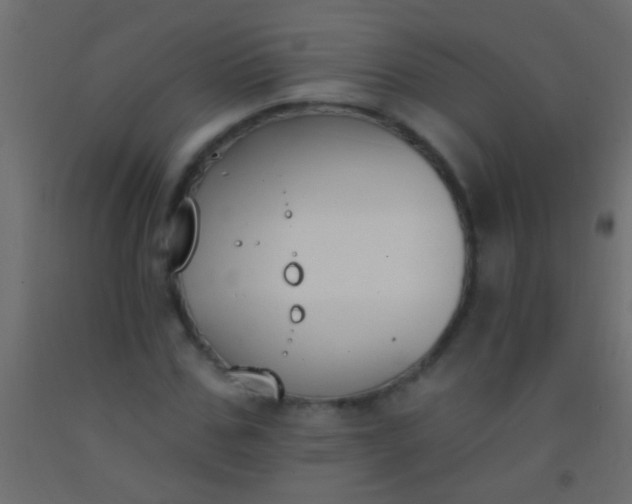 X0000093090971200710101514