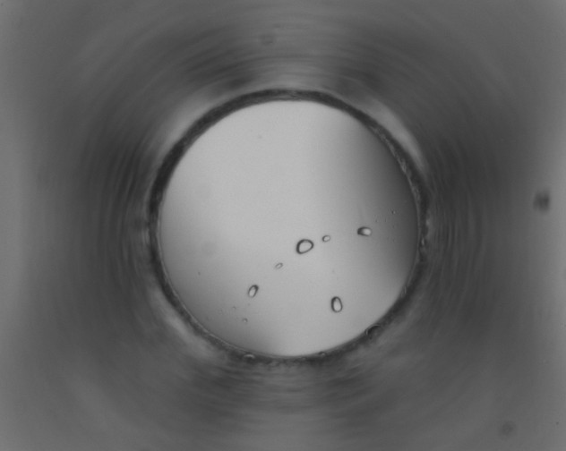 X0000093090972200710101514