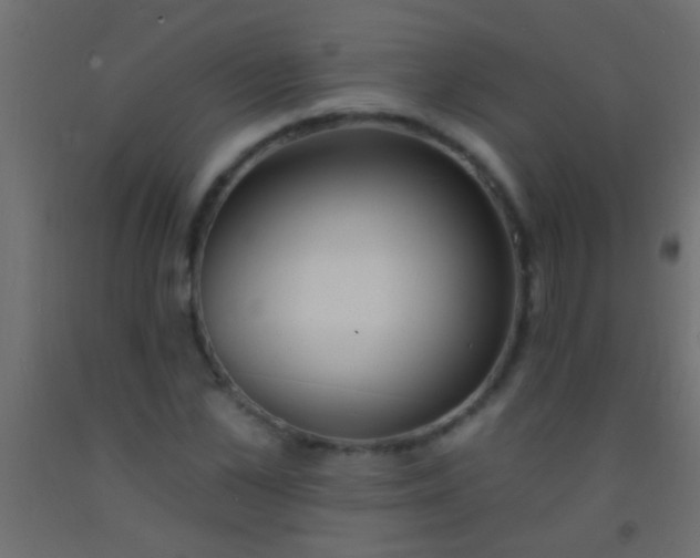 X0000093090973200710101514