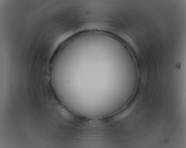 X0000093090974200710101514