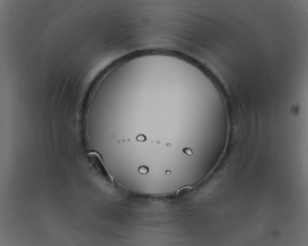 X0000093090975200710101514