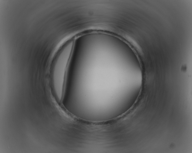 X0000093090976200710101514