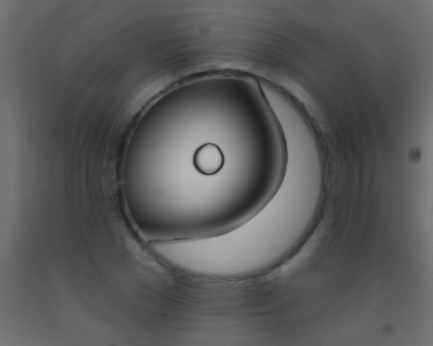 X0000093090977200710101514