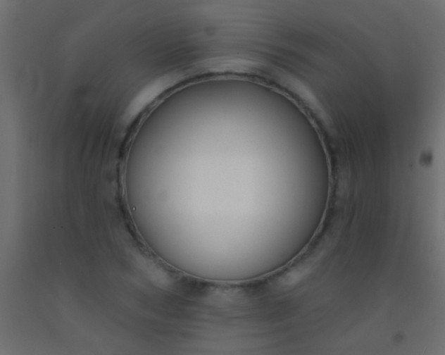 X0000093090978200710101514