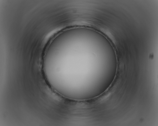 X0000093090979200710101514