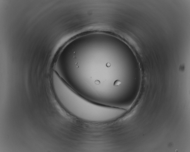 X0000093090981200710101513