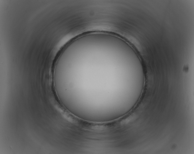 X0000093090982200710101513