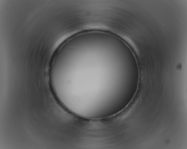 X0000093090983200710101513