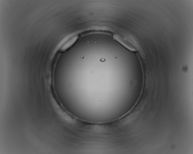 X0000093090984200710101513