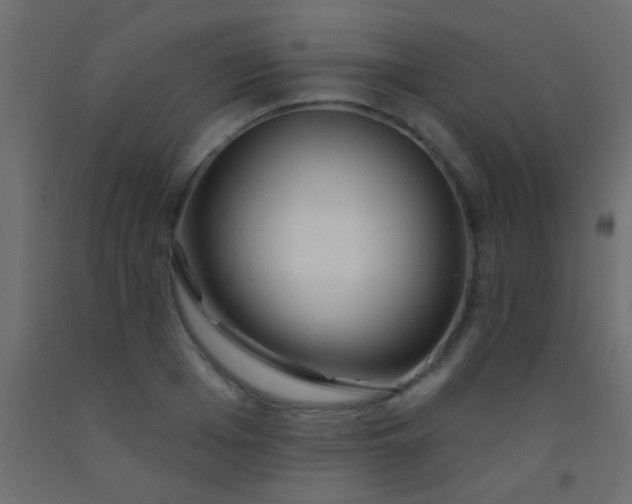 X0000093090985200710101513