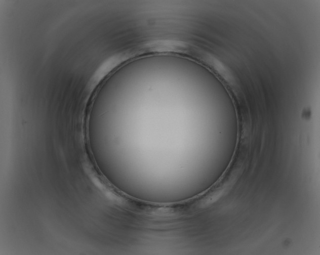 X0000093090986200710101513