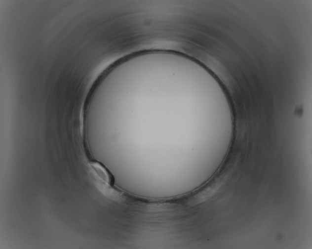 X0000093090988200710101513