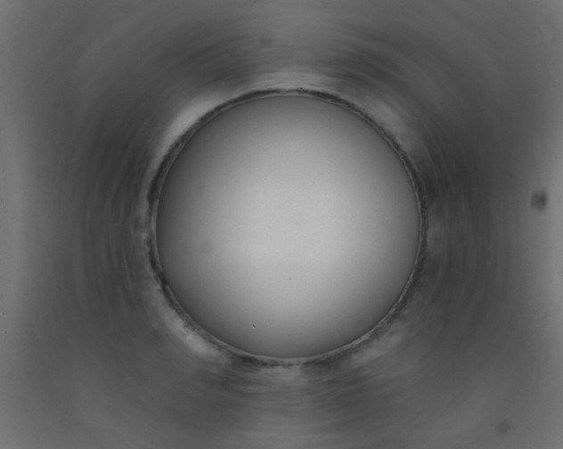 X0000093090990200710101513