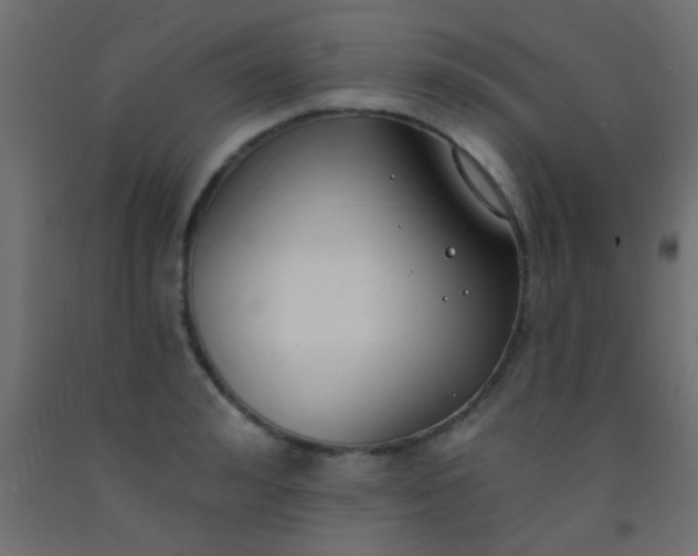 X0000093090992200710101513