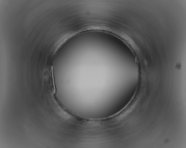 X0000093090993200710101513