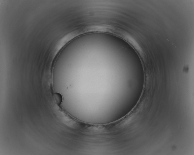 X0000093090994200710101513