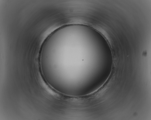 X0000093090995200710101513